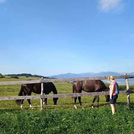 Apartament Sky-house Jasna