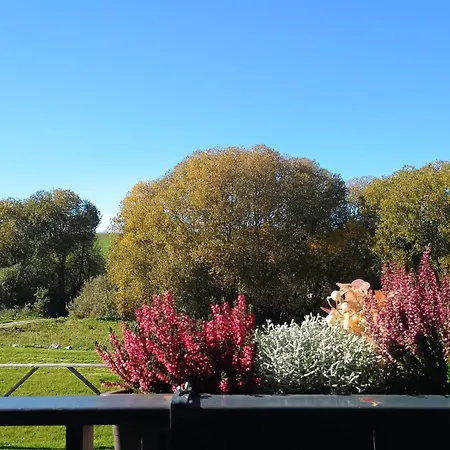 Апартаменты Sky-house Jasna Павчина-Легота