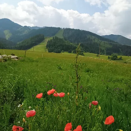 Sky-house Jasna Павчина-Легота