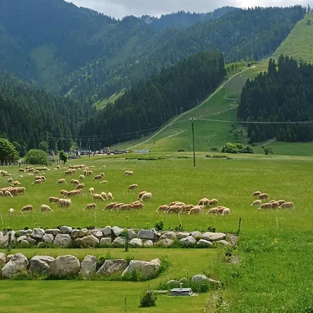 Apartament Sky-house Jasna *