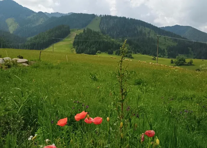 Sky-house Jasna Pavčina Lehota