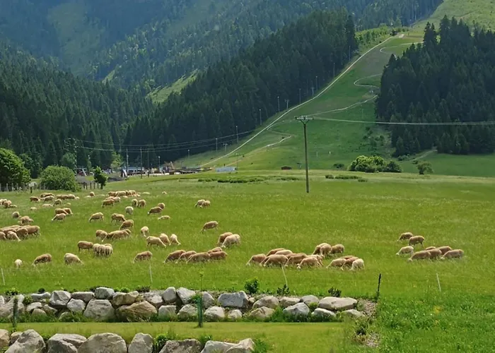 公寓 Sky-house Jasna *